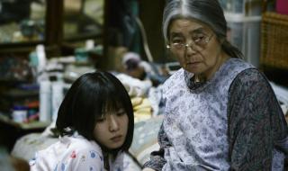 用什么洗头可以生发