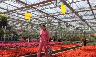 现代农业生态观光园