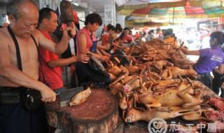 夏至吃狗肉 夏至吃狗肉