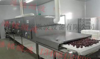 微波加热器 微波加热器