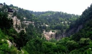 他大舅他二舅都是他舅 他大舅他二舅都是他舅