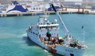 山东枪击案2024 山东枪击案2024