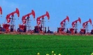 庆阳发现大油田 庆阳发现大油田