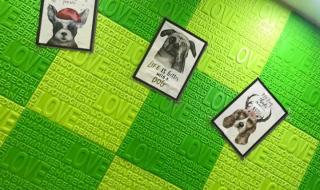 是不是因为我不够温柔 是不是因为我不够温柔