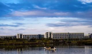 上海海事大学分数线 上海海事大学分数线