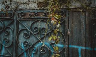 墨西哥人是印第安人吗 墨西哥人是印第安人吗